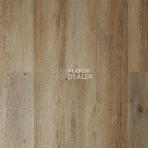 Tarkett Funky House BOB фото 4 | FLOORDEALER